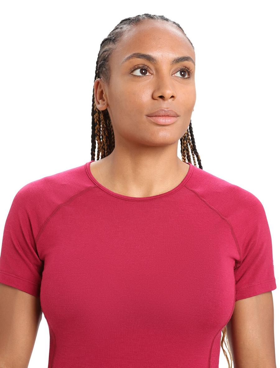 Base Layers Icebreaker BodyfitZone™ Merino 150 Zone Corta Sleeve Crewe Thermal Top Femme Rose | FR 1889FDNM